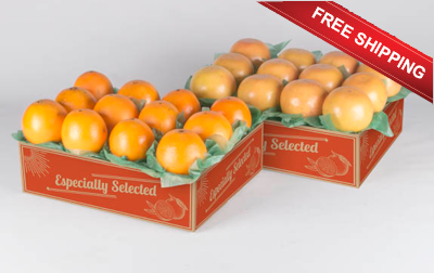 Our Popular 2-tray pack of Navel Oranges and Ruby Red Grapefruit