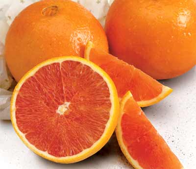 Navel Oranges
