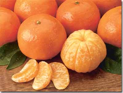 Juicy Tangerines, sweet and easy to peel