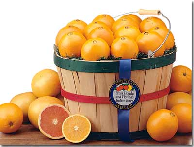 Florida Gift baskets with oranges, tangerines, and grapefruit make a fabulous gift.