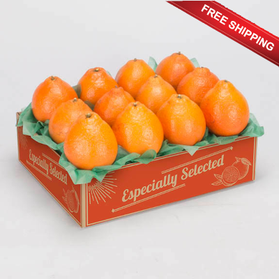 Golden Honeybells ship free