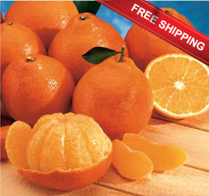 Honeybells Ready to Ship Free