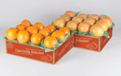 Our Popular 2-tray pack of Navel Oranges and Ruby Red Grapefruit