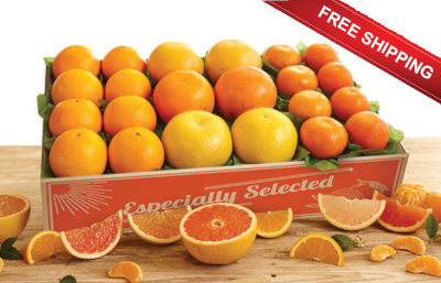 Three kinds of Grapefruit plus Oranges and Tangerines make up this Fabulous Five plus free shipping.