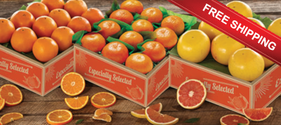 Three Tray Bonanza of Florida Oranges, Tangerines and Red Grapefruit ships free.